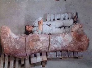 Dünyanın en büyük dinozoru bulundu