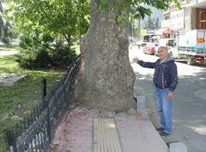 Engellilere engel olan kaldırım