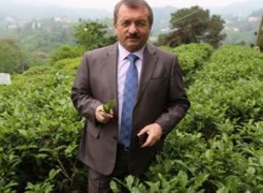 'Güneydoğu'ya Karadeniz çayı'