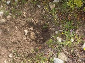 Köpeğin bulduğu bebeği annesi canlı canlı gömmüş