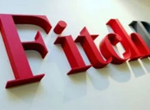 Kredi kuruluşu Fitch Türkiye'yi anlattı