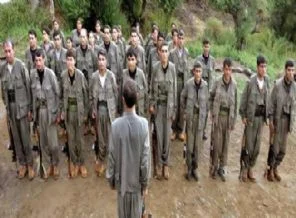 PKK'da gözaltı fırtınası
