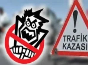 Sakarya'da kaza
