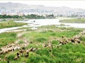 Şırnak'ta 20 yıl sonra ilk kez yaşanıyor