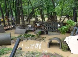 Binlerce alabalık taşkında telef oldu