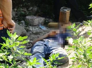 Bonzai bu kez Bursa'da can aldı!