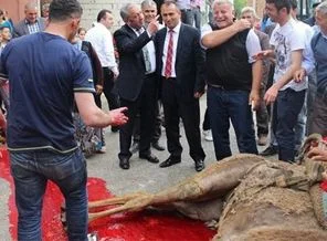 CHP'li başkan deve keserek göreve başladı