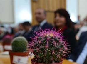 CHP'li Salman vekillere kaktüs hediye etti