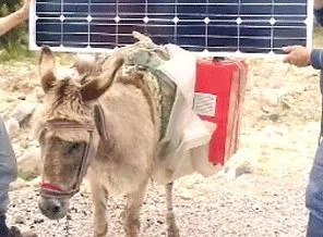Çobanlar enerjide çığır açtı: Eşektrik