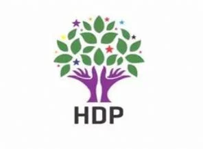 HDP'nin Cumhurbaşkanı adayı belli oldu
