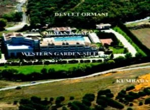 İstanbul'da inanılmaz yağma