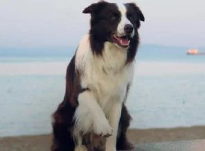 Max'e de yasak geliyor
