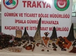 Otobüsten gergedan boynuzu çıktı