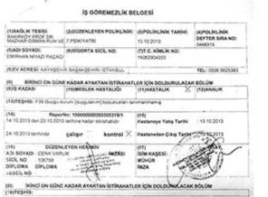 Paralel intiharı rapor çürüttü