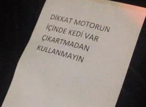 Polis arabası 12 saat yavru kediyi bekledi