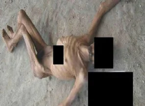 Suriye'deki vahşetin fotoğrafları BM'de tartışıldı