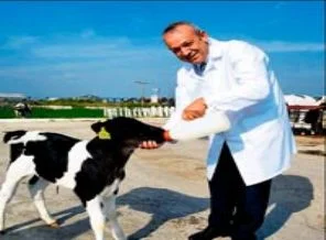 Süt fiyatlarına zam