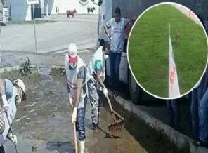 SÜTAŞ'ın tezek bahçesi bir gecede çiçek açtı!