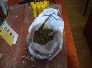 Bakanlar bonzai için toplanacak