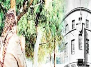 'Başını aç da gel' hortladı