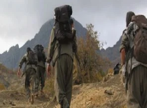 Bir PKK'lı daha teslim oldu
