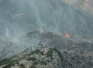Elazığ'da 10 hektarlık alanda yangın