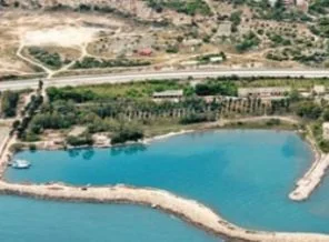 ODTÜ'den ağaç kıyımı kararı