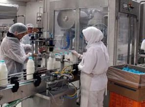 Süt ve süt ürünlerine sıkı denetim