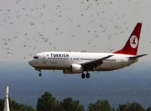 THY 7 ayda ne kadar yolcu taşıdı?