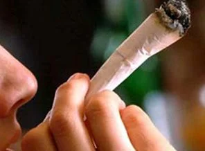 873 kilo esrar yakalandı