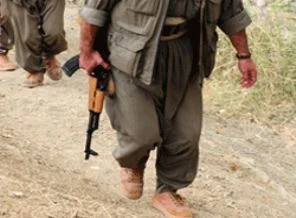 PKK, Muş'ta 10 çocuğu kaçırdı