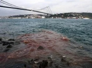 İstanbul Boğaz'ı kana bulandı