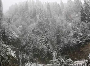 Karadeniz'de kar yağdı