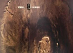 Mars'a gidenler 68 günde ölecek!