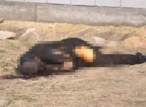 Yüksekova'da bir kadın cesedi bulundu