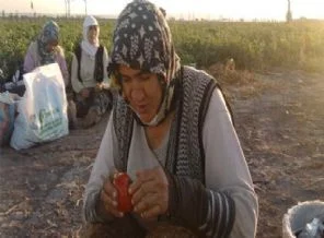 AK Parti o işçiler için harekete geçiyor