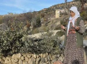 Madenci annesinin yürek yakan feryadı!