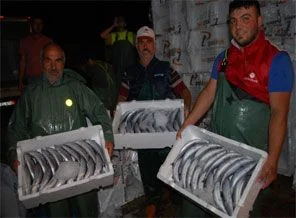 Palamut balıkçıların yüzünü güldürdü