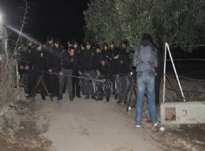 Soma'daki zeytin ağacı nöbetinde arbede