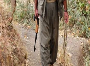 Son bir haftada 40 PKK'lı teslim oldu