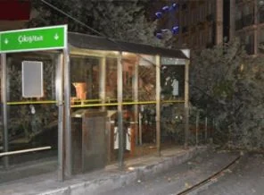 Tramvay yoluna ağaç devrildi