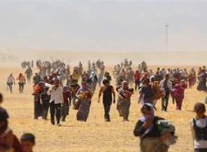 AA fotoğrafları Lahey'e belge olarak sunuldu