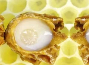 Bu sütün kilosu 5 bin lira