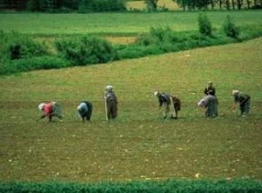 Çiftçi Kayıt Sistemi başvuru süresi değişti