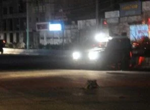 Cizre'de bomba alarmı