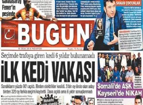 Paralel yapı'da kedi örneği
