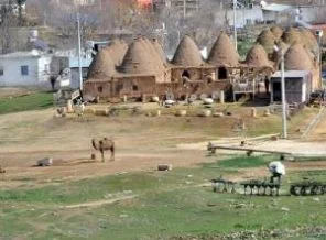 Harran mağdur kadınların umudu olacak