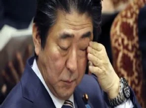 'Japonya, Türkiye'den yardım istemeliydi'