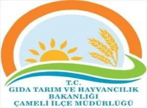 Bakanlık'tan 'şap hastalığı' açıklaması