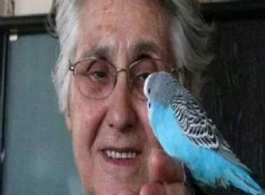 Erdal Eren'in annesi hayatını kaybetti